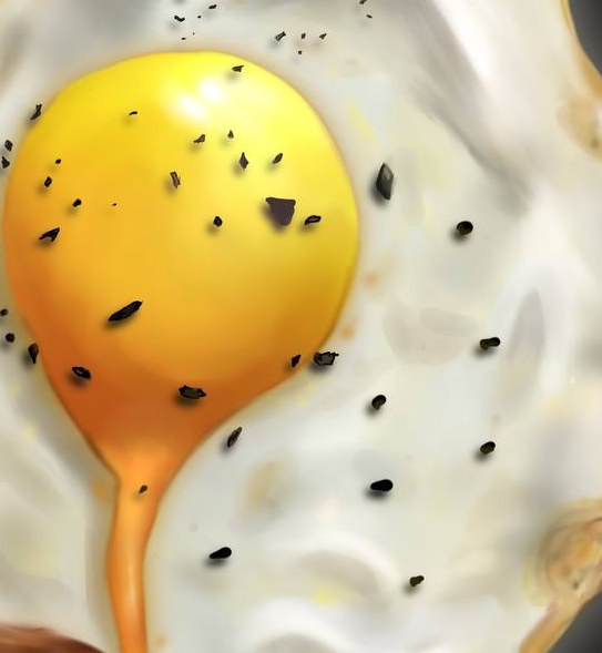 The yolk — detail