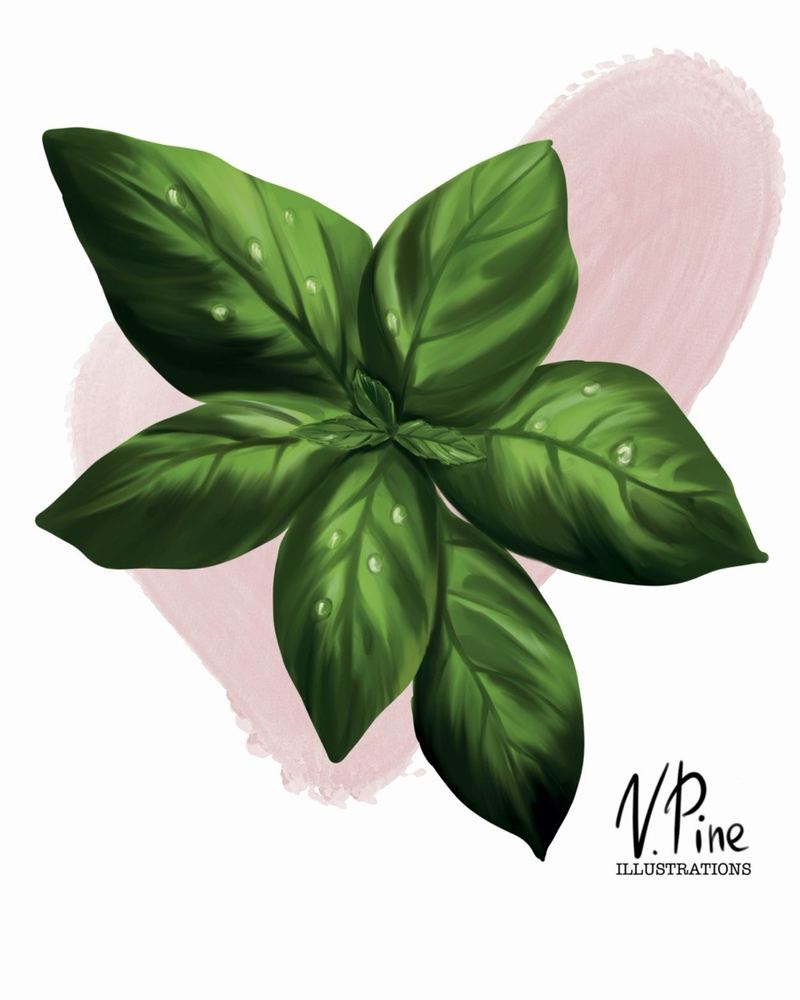 Dewy Basil