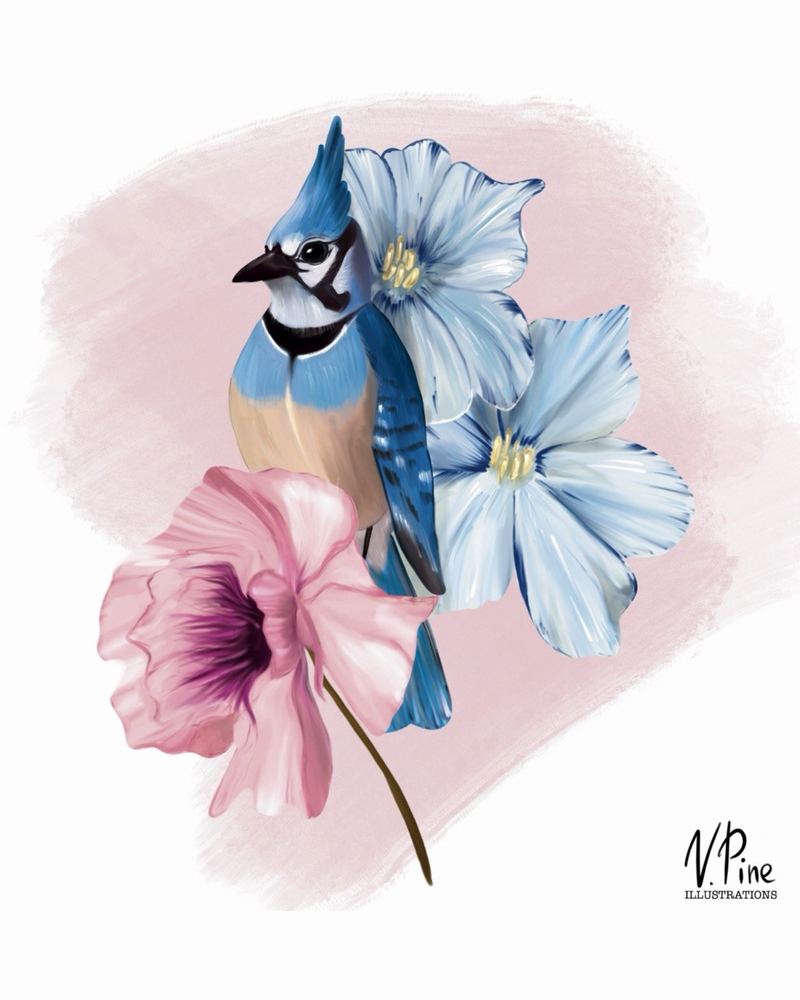 Blue Jay in Bloom