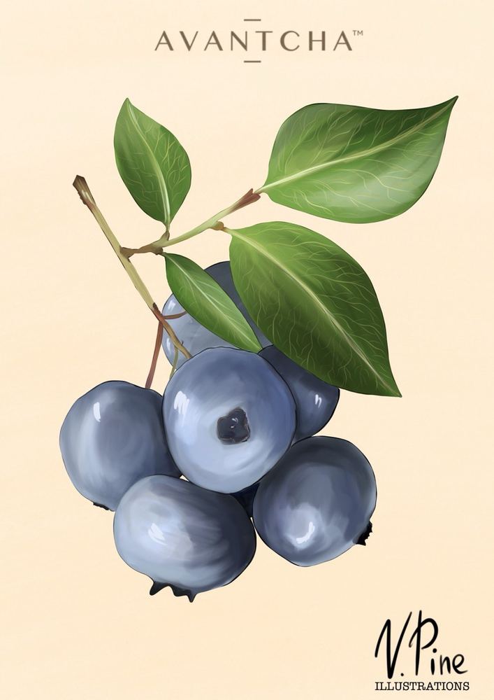 Blueberry Sprig