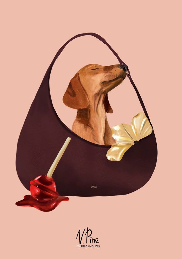 Dachshund in a Bag