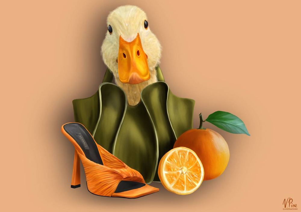 Duckling & Orange