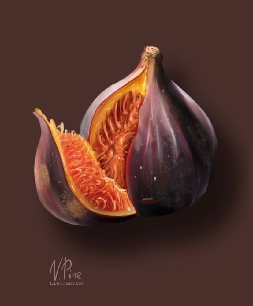 Fig